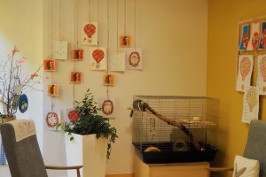 Domov DSS Bojčenkova